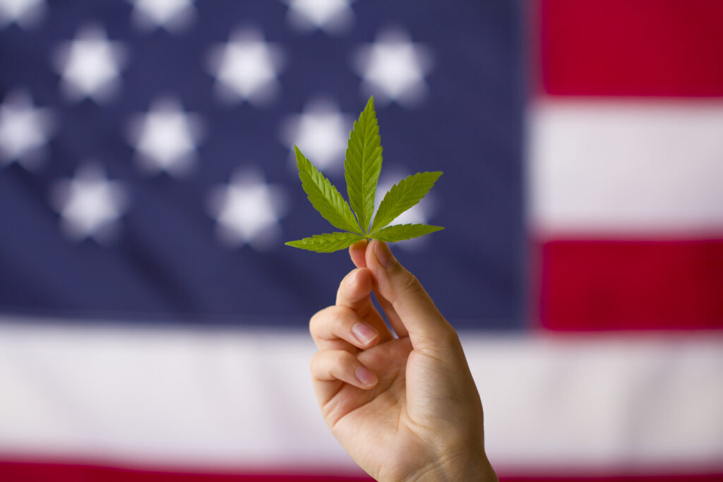 Legalizacja marihuany w Stanach